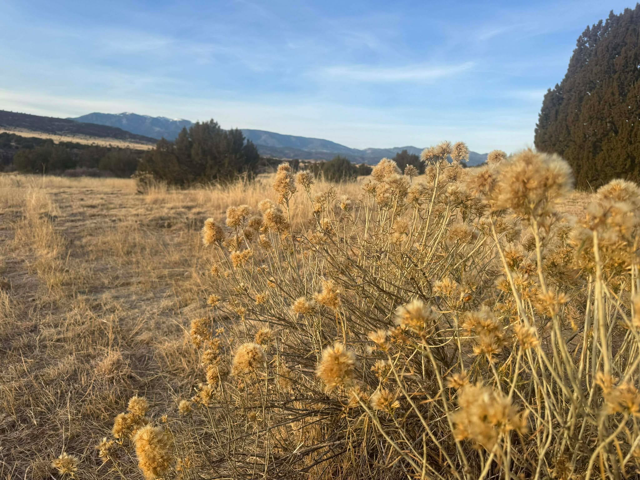 Colorado homestead landscape